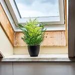 Am Birnbaum Appartement *