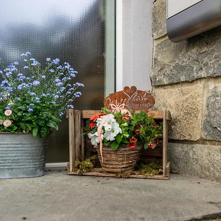 Apartamento Am Birnbaum Uberlingen