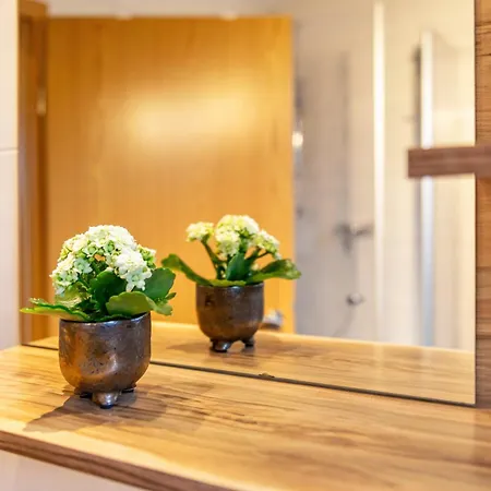 Apartment Am Birnbaum