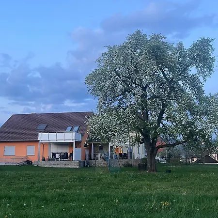 Am Birnbaum Uberlingen